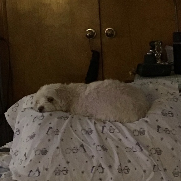 Meet your Posher, Victoria - Picture 1 of 1